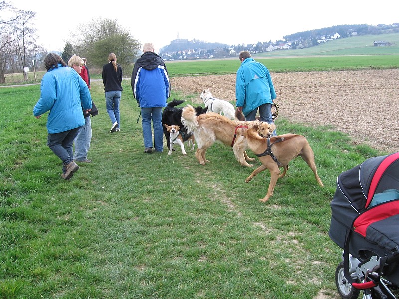 Img0178.JPG
