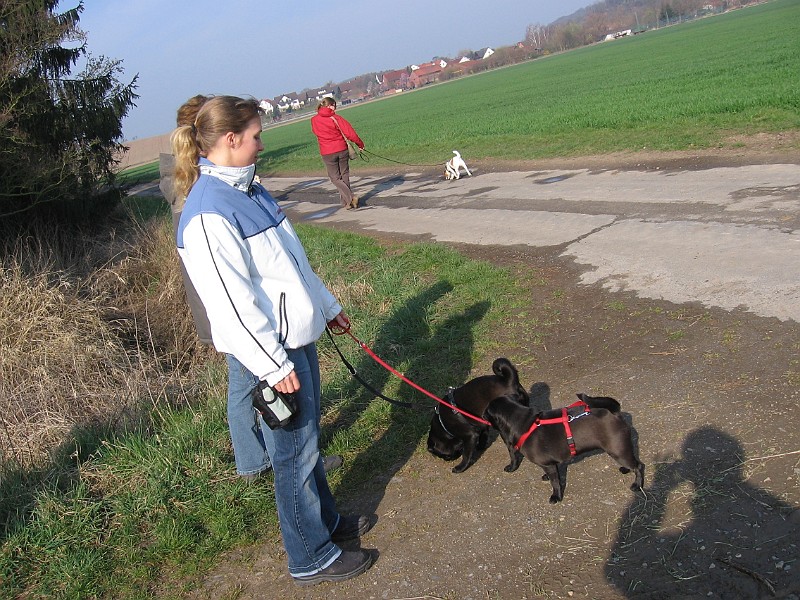 Img0193.JPG