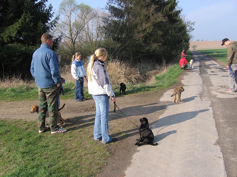 Img0194.JPG