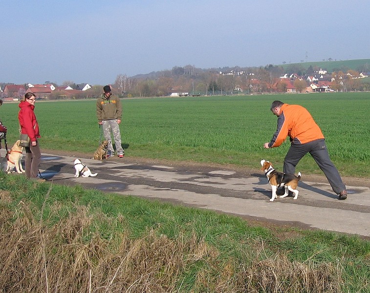 Img0200.JPG