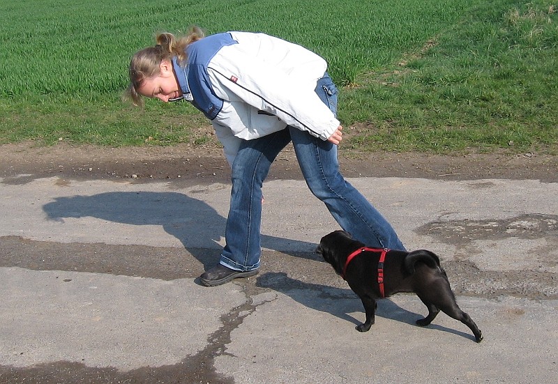 Img0202.JPG