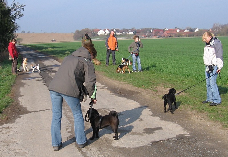 Img0206.JPG