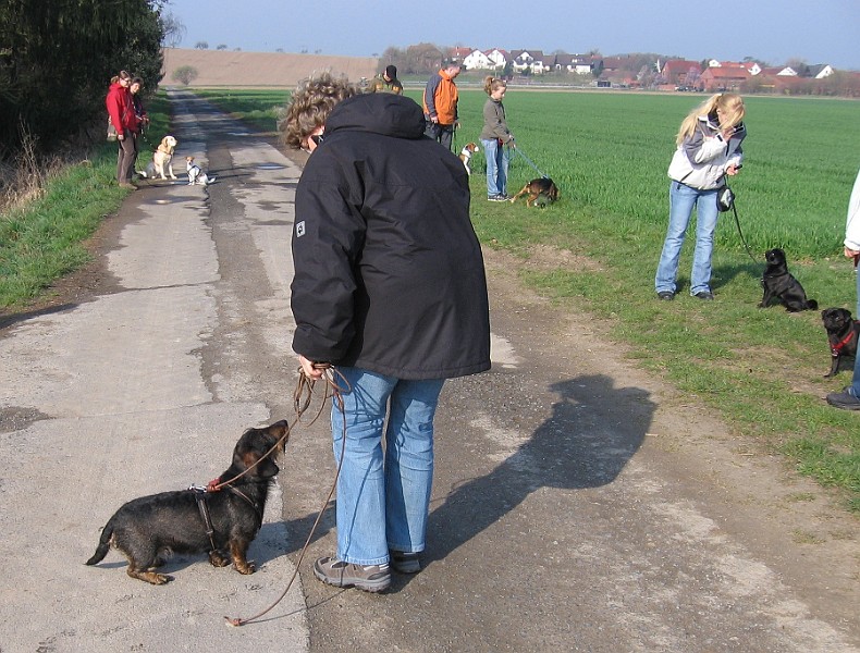Img0207.JPG