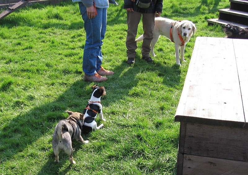 Img0210.JPG