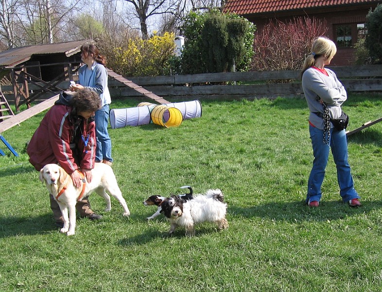 Img0212.JPG