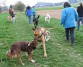 Img0177