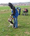 Img0187