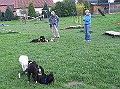 Img0190