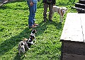 Img0210