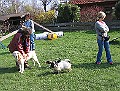 Img0212