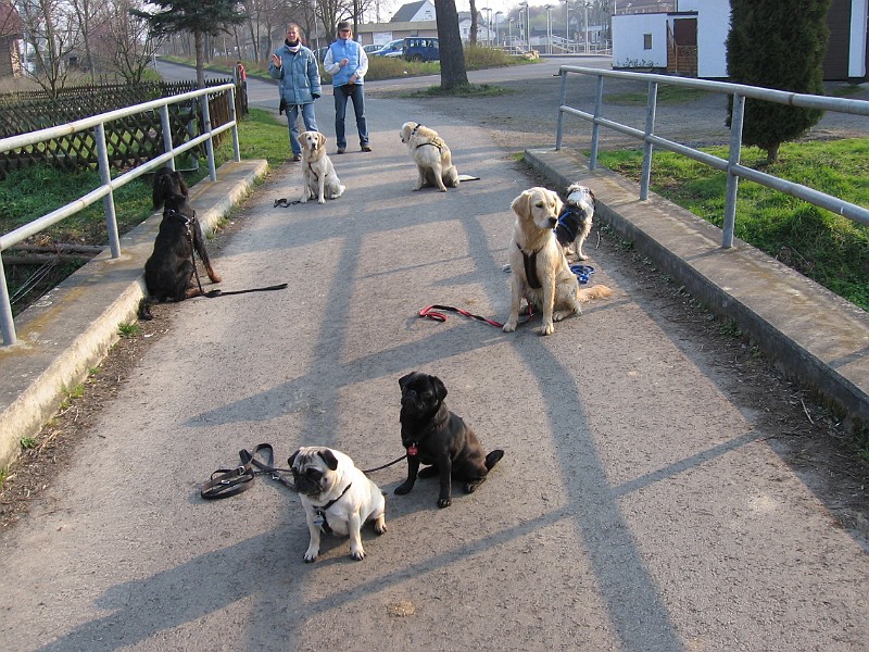 Img0260.JPG