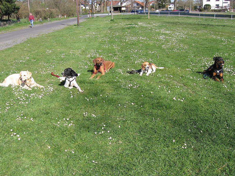 Img0271.JPG