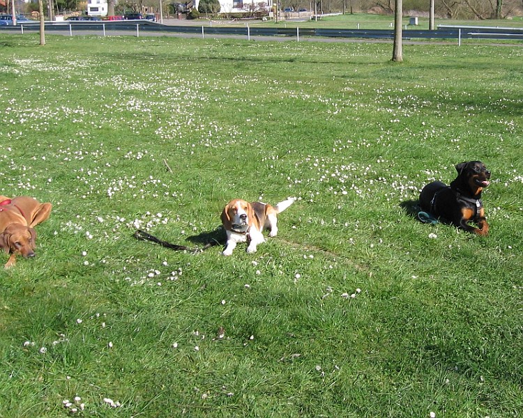 Img0279.JPG