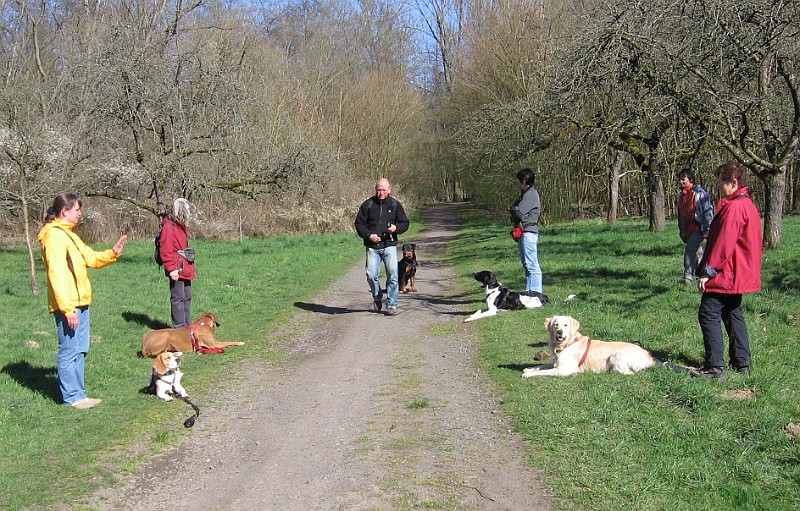 Img0280.JPG