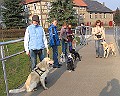 Img0249