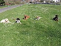 Img0271