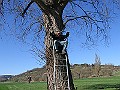 Img0288