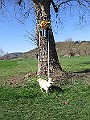 Img0294