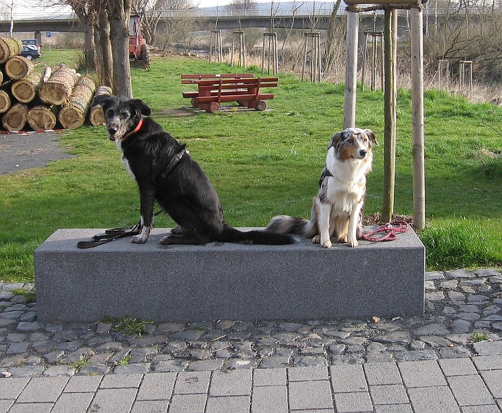 Img0380.JPG