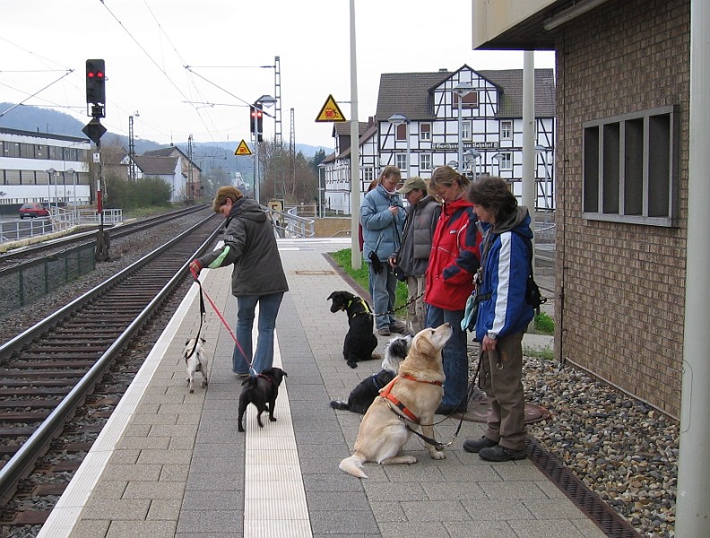 Img0392.JPG