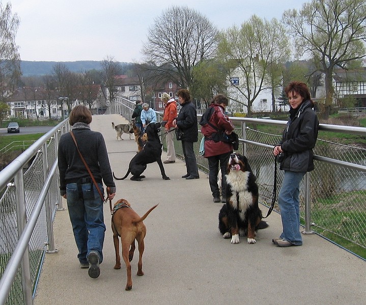 Img0399.JPG