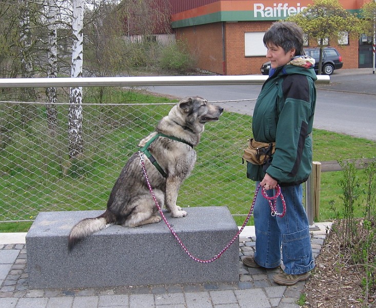Img0415.JPG