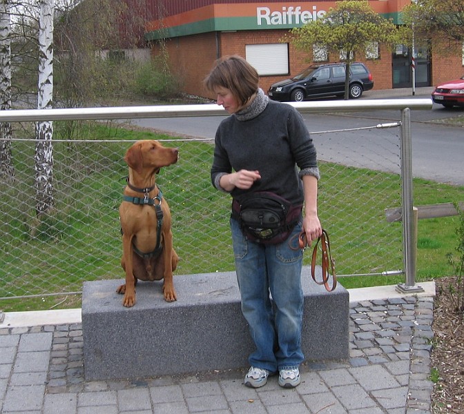 Img0416.JPG