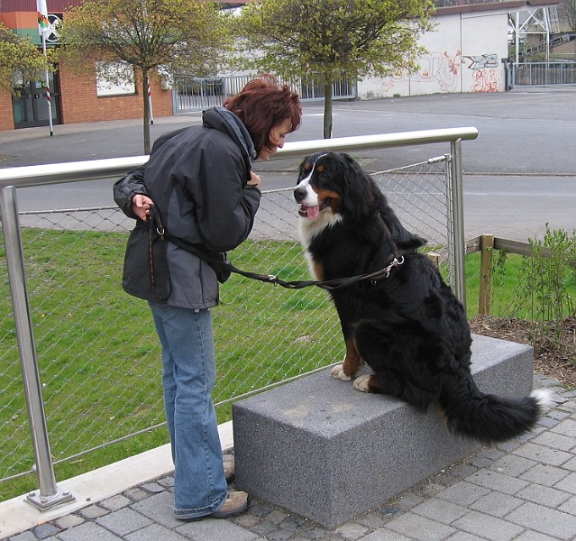 Img0418.JPG