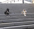 Img0382