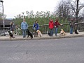 Img0391
