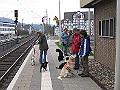 Img0392