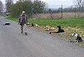 Img0393