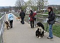 Img0397