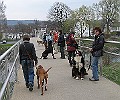 Img0399