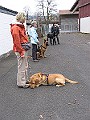 Img0408