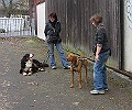 Img0410