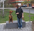 Img0416