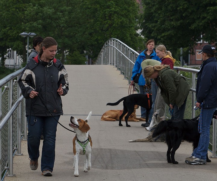 IMG_7027-200705-wkw.jpg