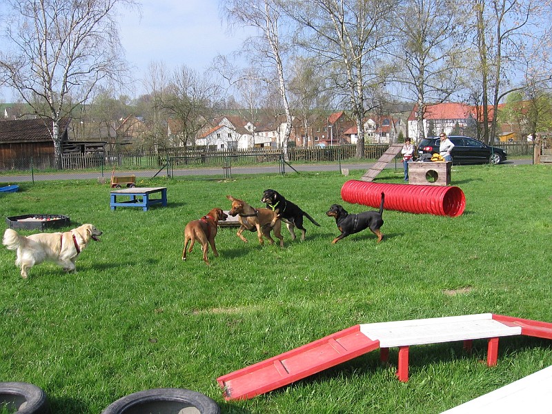 Img0430.jpg