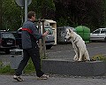IMG_7012-200705-wkw