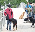 IMG_7031-200705-wkw