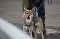 IMG_7060-200705-wkw