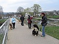Img0397