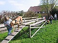 Img0421