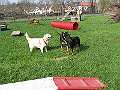 Img0426