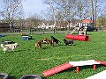Img0430