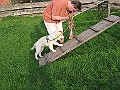 Img0452