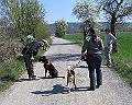 Img0455