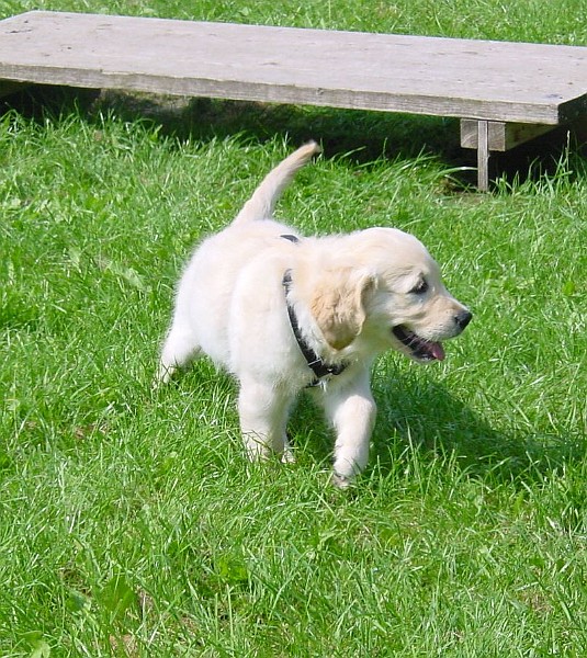 DSC02844.jpg