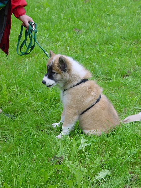 DSC02945.jpg